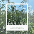 케나프힐링 네이버블로그