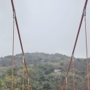 동교 Daum카페