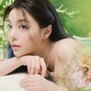 에일리나 주식회사