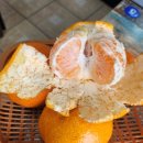 산내들식당 이미지