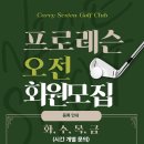 크린나이스 이미지