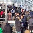 송어축제 이미지