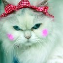 애나동물병원 이미지