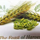 칠칠절, 하나님의 영원한 절기 이미지