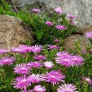 무릉도원흙집 이미지