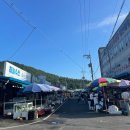 신일회수산 | [태안 신진도 어촌계 수산물 직판매장] 신진항 옥양수산 오징어회·신일수산 광어회 구매 후기 및 가격안내