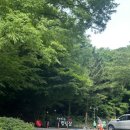 과천 서울대공원 캠핑장 공휴일 주차, 평일 주차, 206호 403호 사용 후기