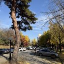 낙성대골프연습장 | 서울대 주변 인도어 골프연습장 :: 낙성대 골프연습장 후기