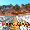 음성군 미타사 이미지
