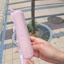 파리바게뜨동탄늘봄초교점