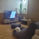 옥천산방라온