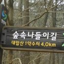 대방동 체육공원 이미지