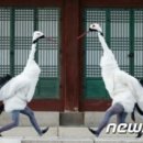 새옷입고
