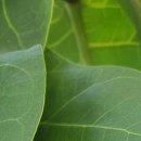 안동내과의원 이미지