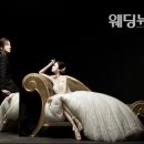 신성원 베이비뉴스