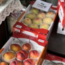 대성농원 | 원주 과수원 후기 :: 가격도 착하고 맛도 좋은 원주 치악산 복숭아 직거래 후기, “대성농원”