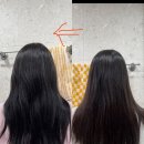 그린헤어아트 | 웨딩촬영 헤어변형 추천 아트원영 내돈내산 후기