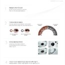 안경나라중문점 이미지