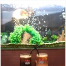 양지다방 이미지