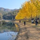 소금랜드 이미지