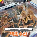 동광팬션 | 영덕 강구항 동광어시장 앞 어시장 내돈내산 대게 구매 상세 가격 표시 솔직후기