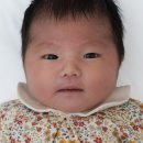 한국피자헛분평대로점 | 런던 일상 | 해외 집밥 한식, 신생아 여권 사진 촬영, 밖순이가 집에서 보내는 일상