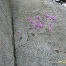 카타나 펜션 이미지