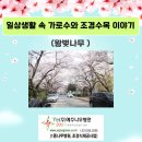 생활속의 조경이야기 이미지