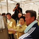 정영식농장 이미지