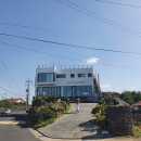 더세화리투스 | 세화해변 조용하고 한적한 카페 '더세화리투스' 내돈내산 솔직리뷰