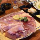 광안3-306 | 광안리 마도로스 횟집 방어 맛집 내돈내산 솔직후기