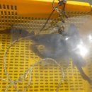 수진좌대 이미지