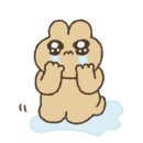 화화돼지왕갈비 충무점 이미지