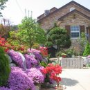 옛집황토방 이미지