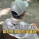 넥쿨러 추천 와이드형 얼리츠 아이스 넥쿨러 사용후기
