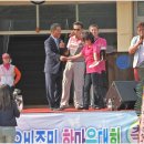 오비초등학교 이미지