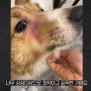 송치농장 이미지