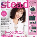 스테디(Steady) 이미지