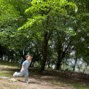 무양공원 놀이터(무양) 이미지