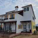 2024 봄의왈츠 이미지