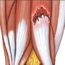 R1 운동과학센터 이미지