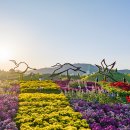 나르샤의정원 이미지