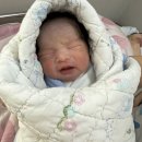 나나더블유 | 광주 더블유 여성병원 제왕절개 후기