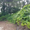 금평1천 이미지