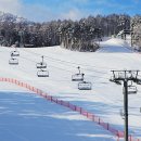 용평리조트 골프클럽 이미지