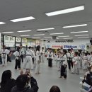 마스터케이 태권도 이미지