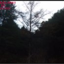 하색2리 마을회관 이미지