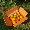 대유농장 이미지