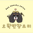 오락반장요미 이미지