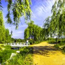 거창-남상-5 이미지